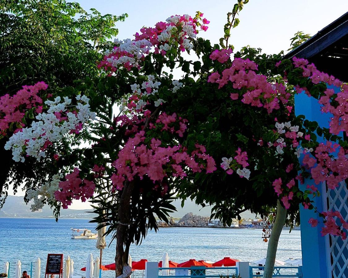 Haraki Mare Studios Beach Front Exteriér fotografie